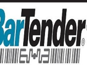 BarTender使用序列化批量打印的详细教程