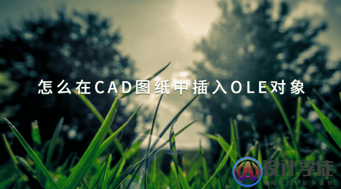 怎么在CAD图纸中插入OLE对象？ -1