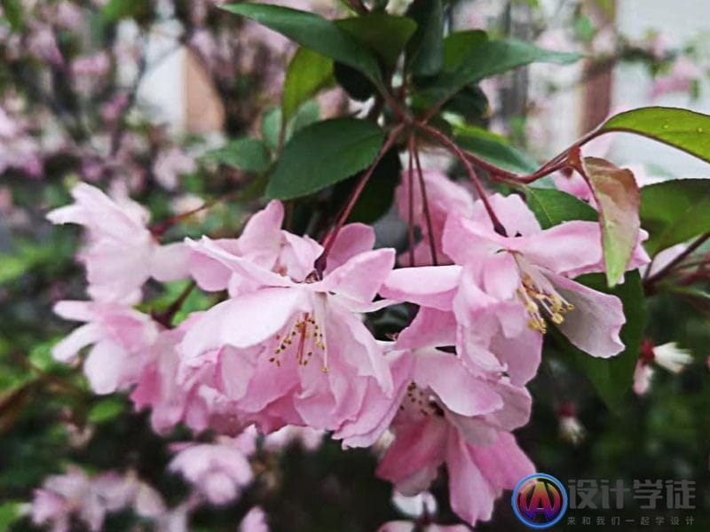 ps怎么让模糊的照片变清晰？ps低像素图片转成高清 -10