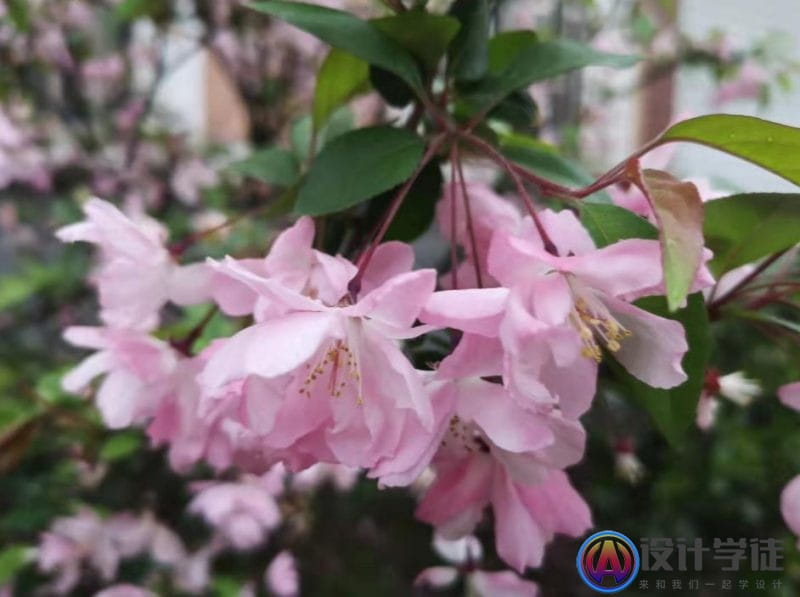 ps怎么让模糊的照片变清晰？ps低像素图片转成高清 -14
